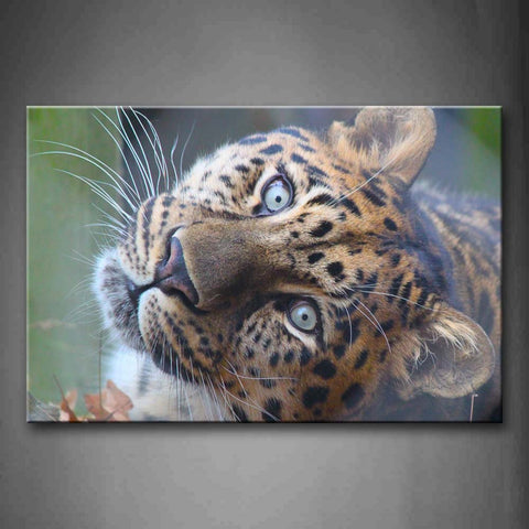 Leopard Head Stare  Wall Art Painting The Picture Print On Canvas Animal Pictures For Home Decor Decoration Gift 