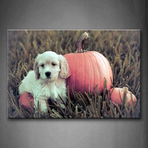 White Dog Stand On Grass Near Pumpkin Wall Art Painting Pictures Print On Canvas Animal The Picture For Home Modern Decoration 