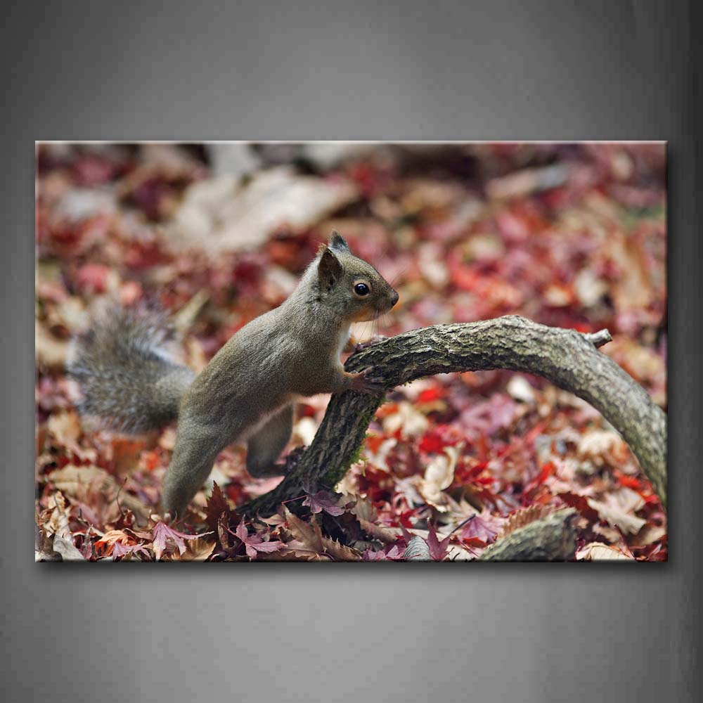 Squirrel Climb On Dry Branch Maple Leafs Autumn Wall Art Painting Pictures Print On Canvas Animal The Picture For Home Modern Decoration 