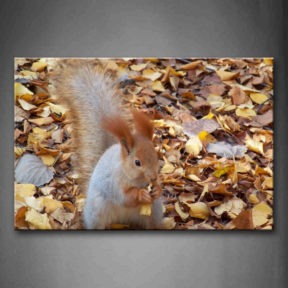 Squirrel Sit On Dry Leafs Eating Wall Art Painting The Picture Print On Canvas Animal Pictures For Home Decor Decoration Gift 