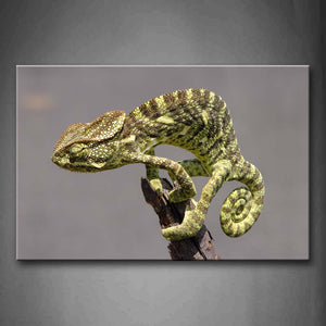 Chameleon Stand On Dry Wood Wall Art Painting Pictures Print On Canvas Animal The Picture For Home Modern Decoration 