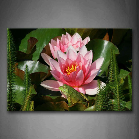 Green Frog Sit On Lotus Leaf And Near Lotus Wall Art Painting The Picture Print On Canvas Flower Pictures For Home Decor Decoration Gift 