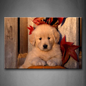 Golden Retriever Bend Over Pumpkin Maple Leafs Wall Art Painting The Picture Print On Canvas Animal Pictures For Home Decor Decoration Gift 