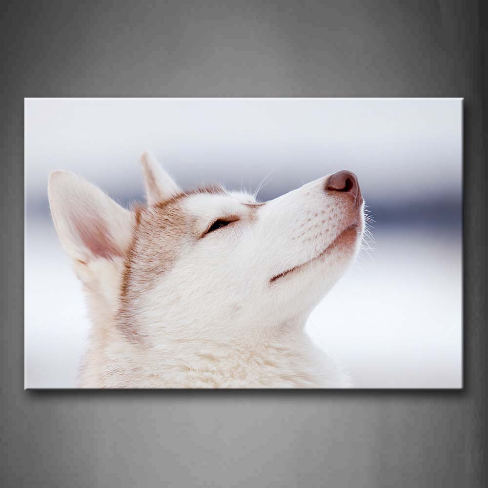 White Husky Head  Wall Art Painting Pictures Print On Canvas Animal The Picture For Home Modern Decoration 