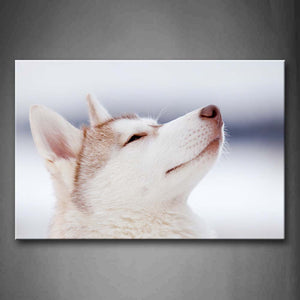 White Husky Head  Wall Art Painting Pictures Print On Canvas Animal The Picture For Home Modern Decoration 