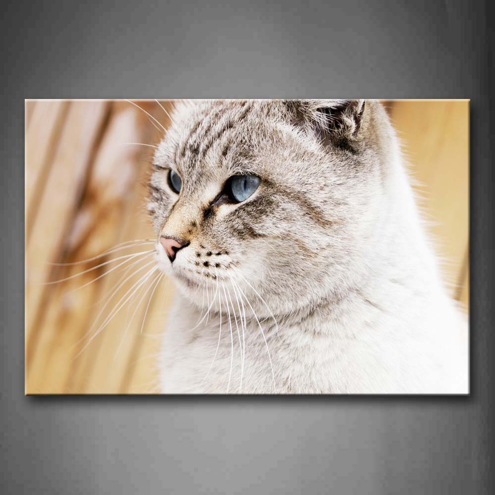 White Cat Portrait Wall Art Painting The Picture Print On Canvas Animal Pictures For Home Decor Decoration Gift 