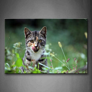 Gray Cat Sit In Grass Wall Art Painting Pictures Print On Canvas Animal The Picture For Home Modern Decoration 