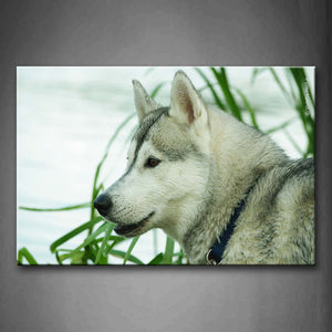 Dog Near Green Grass Lake Wall Art Painting Pictures Print On Canvas Animal The Picture For Home Modern Decoration 