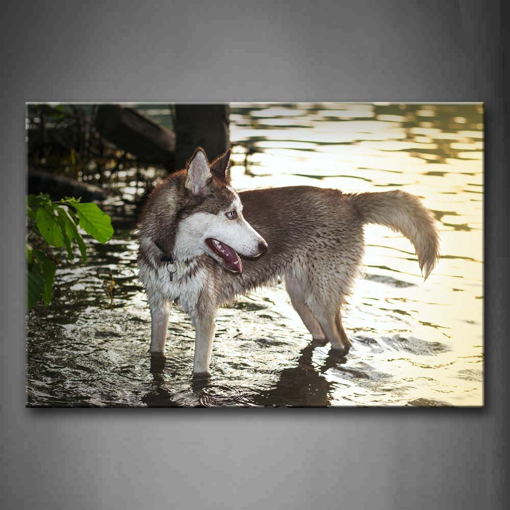 Husky Stand In River  Wall Art Painting Pictures Print On Canvas Animal The Picture For Home Modern Decoration 