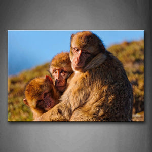 Mother Monkey And Two Cub Embrace Together Wall Art Painting The Picture Print On Canvas Animal Pictures For Home Decor Decoration Gift 