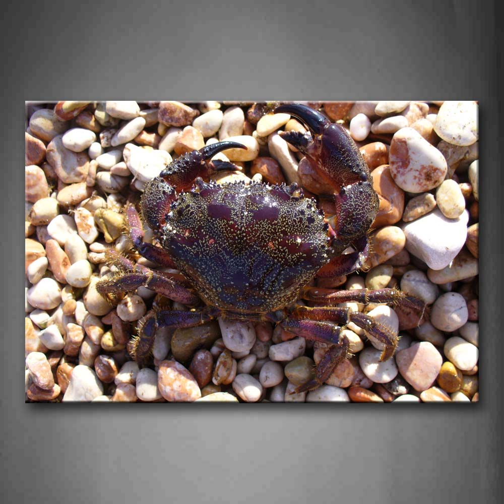 Crab Crawl On Stones Wall Art Painting The Picture Print On Canvas Animal Pictures For Home Decor Decoration Gift 