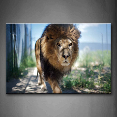 Lion Walk On Land Wall Art Painting Pictures Print On Canvas Animal The Picture For Home Modern Decoration 