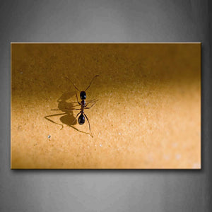 Ant Crawl On Sand Wall Art Painting The Picture Print On Canvas Animal Pictures For Home Decor Decoration Gift 