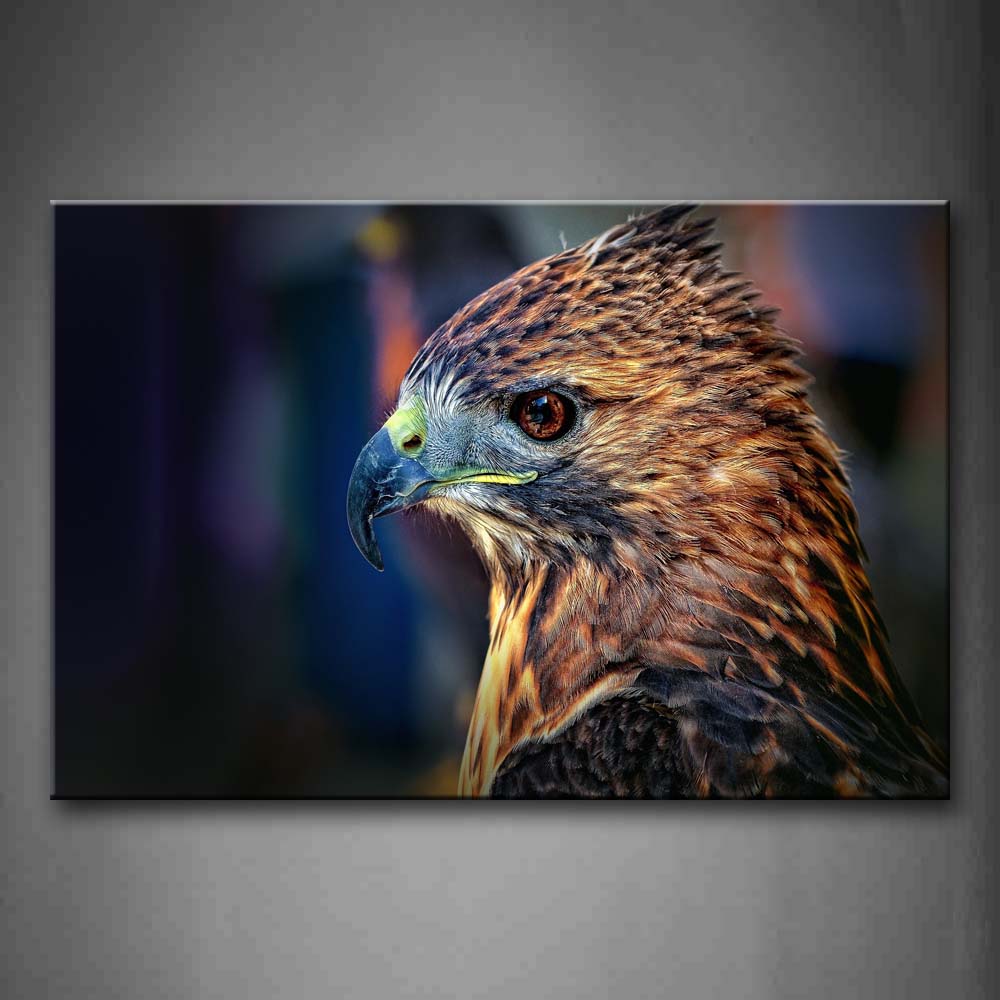 Falcon Head  Wall Art Painting Pictures Print On Canvas Animal The Picture For Home Modern Decoration 