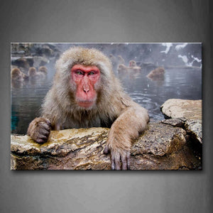 Japanese Macaques In Water  Of One Wall Art Painting The Picture Print On Canvas Animal Pictures For Home Decor Decoration Gift 