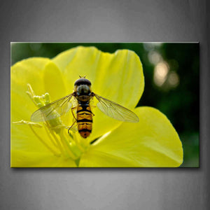 Bee Is Gather Honey In Yellow Flower Wall Art Painting Pictures Print On Canvas Animal The Picture For Home Modern Decoration 