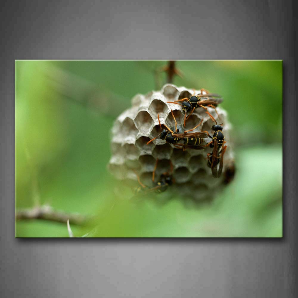 Bees Are Nesting Wall Art Painting The Picture Print On Canvas Animal Pictures For Home Decor Decoration Gift 