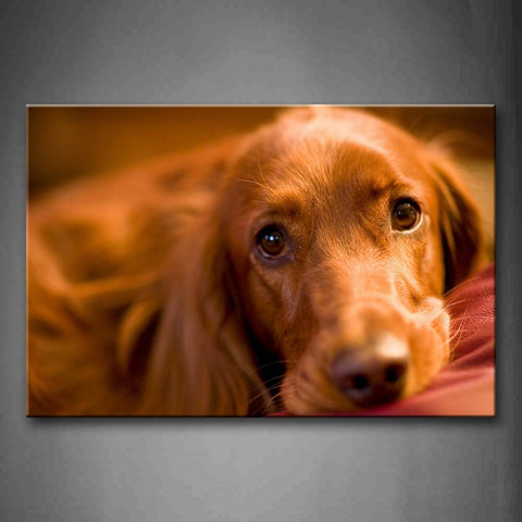 Yellow Dog Lie On Pink Blanket Wall Art Painting Pictures Print On Canvas Animal The Picture For Home Modern Decoration 