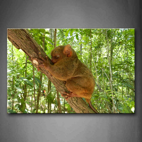 Tarsier Climb On Wood Forest Wall Art Painting Pictures Print On Canvas Animal The Picture For Home Modern Decoration 