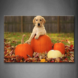 Yellow Dog Bend Over Pumpkin Dry Leafs Wall Art Painting Pictures Print On Canvas Animal The Picture For Home Modern Decoration 