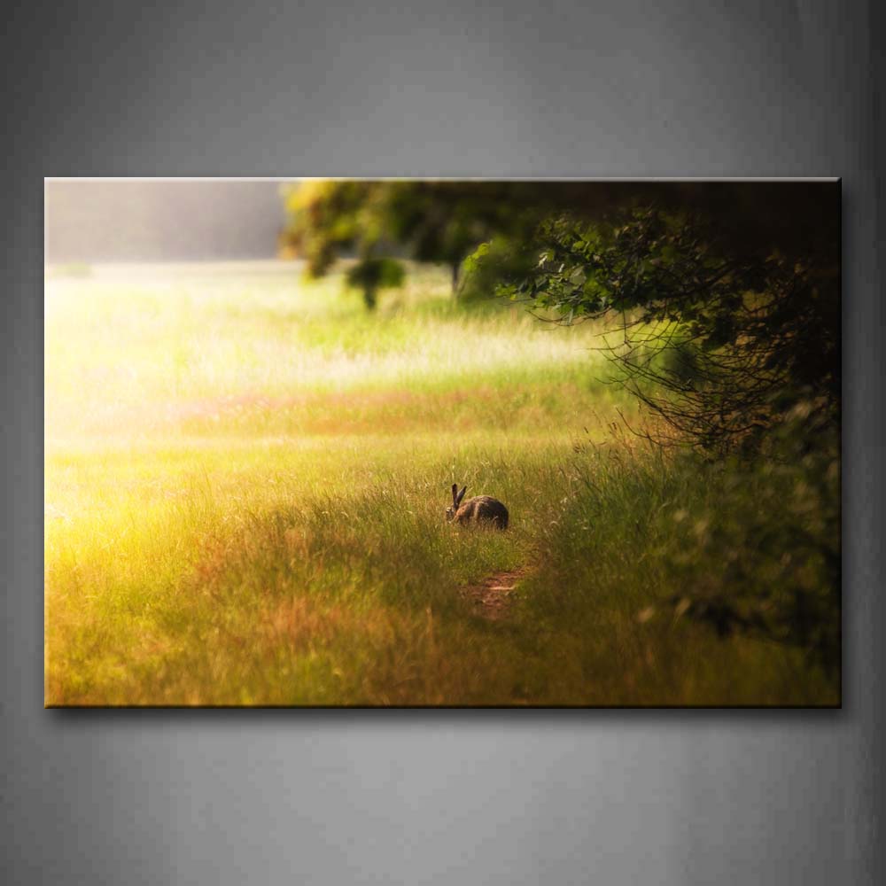 Yellow Orange Brown Rabbit Walk In Grassland Tree Wall Art Painting The Picture Print On Canvas Animal Pictures For Home Decor Decoration Gift 