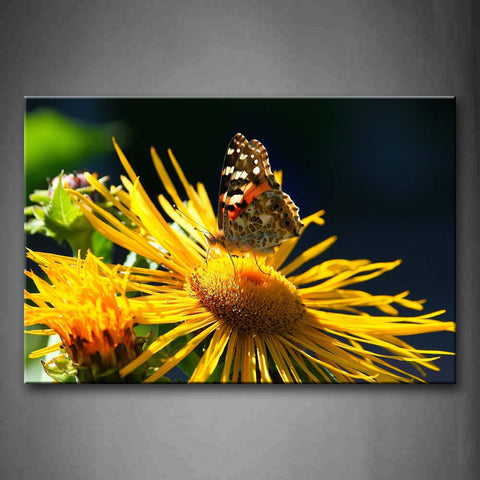 Butterfly Stand On Yellow Flower Wall Art Painting Pictures Print On Canvas Animal The Picture For Home Modern Decoration 