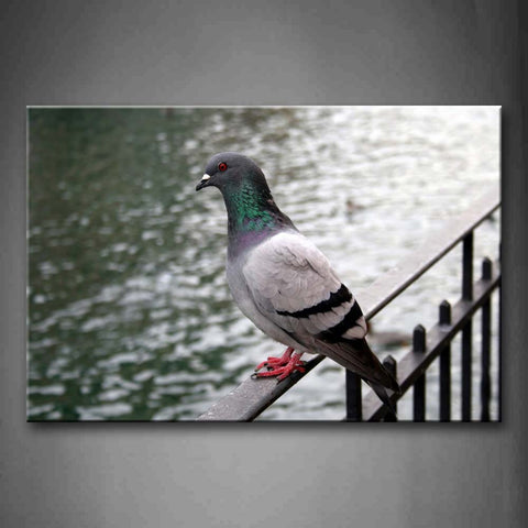 Bird Stand On Fence River Wall Art Painting Pictures Print On Canvas Animal The Picture For Home Modern Decoration 