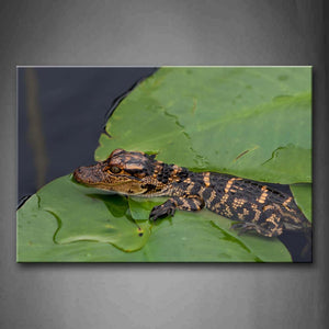 Baby Crocodile In Water And Crawl On Leafs Wall Art Painting The Picture Print On Canvas Animal Pictures For Home Decor Decoration Gift 