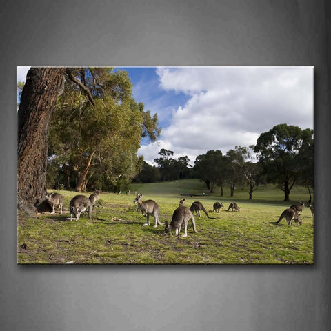 Group Of Kangaroo Are Finding Food On Grassland Trees Wall Art Painting The Picture Print On Canvas Animal Pictures For Home Decor Decoration Gift 