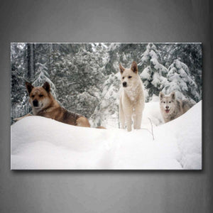 Three Dogs Sit On Snowfield Trees Wall Art Painting Pictures Print On Canvas Animal The Picture For Home Modern Decoration 