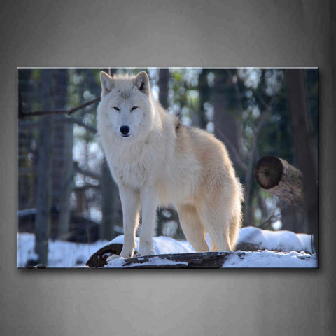 Wolf Stand On Snowfield Woof Trees Wall Art Painting The Picture Print On Canvas Animal Pictures For Home Decor Decoration Gift 