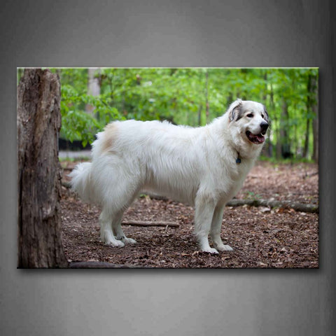 White Dog Stand On Forest  Wall Art Painting Pictures Print On Canvas Animal The Picture For Home Modern Decoration 