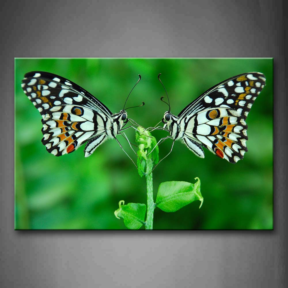 Two Butterfly Stand On Aplant Wall Art Painting The Picture Print On Canvas Animal Pictures For Home Decor Decoration Gift 