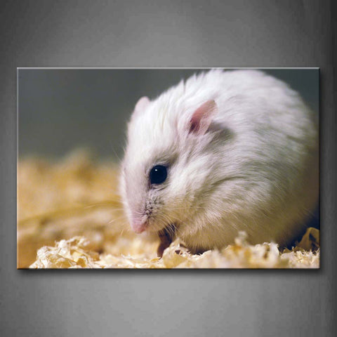 White Hamster Sit Wall Art Painting Pictures Print On Canvas Animal The Picture For Home Modern Decoration 