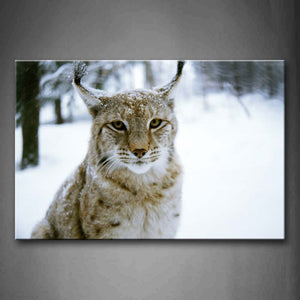 Lynx Sit On Snowfield Trees Wall Art Painting Pictures Print On Canvas Animal The Picture For Home Modern Decoration 