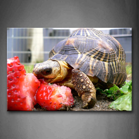 Box Tortoise Is Eating Strawberry Wall Art Painting The Picture Print On Canvas Animal Pictures For Home Decor Decoration Gift 