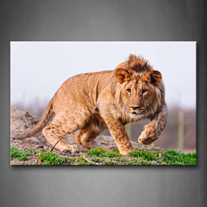 Lionstand On Land Green Grass Wall Art Painting The Picture Print On Canvas Animal Pictures For Home Decor Decoration Gift 