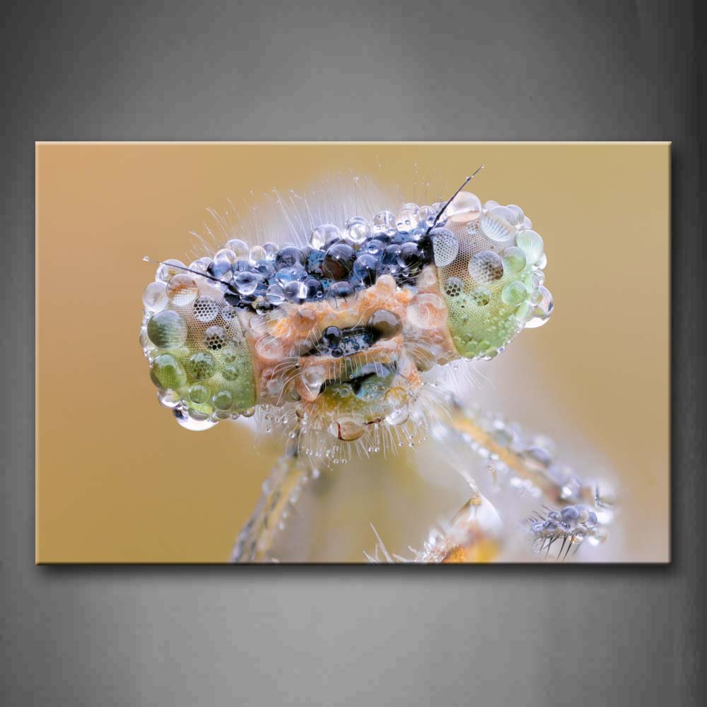 Dragonfly Head  Drop Of Water Wall Art Painting Pictures Print On Canvas Animal The Picture For Home Modern Decoration 