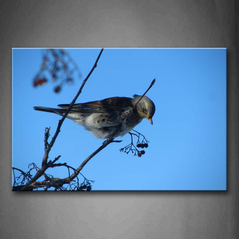 Bird Stand On Branch Blue Sky Wall Art Painting The Picture Print On Canvas Animal Pictures For Home Decor Decoration Gift 