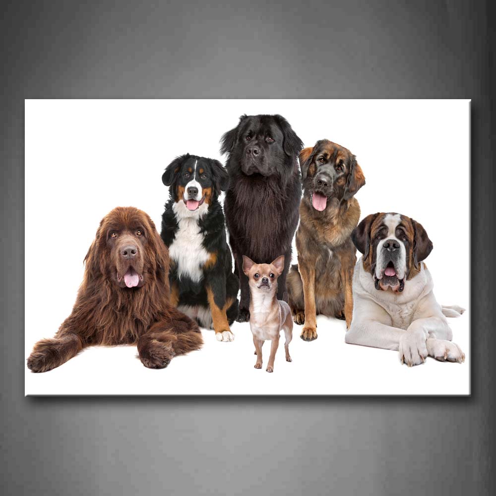 Different Dogs Siting White Background Wall Art Painting The Picture Print On Canvas Animal Pictures For Home Decor Decoration Gift 