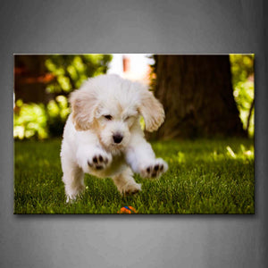 White Dog Play On Lawn  Wall Art Painting Pictures Print On Canvas Animal The Picture For Home Modern Decoration 