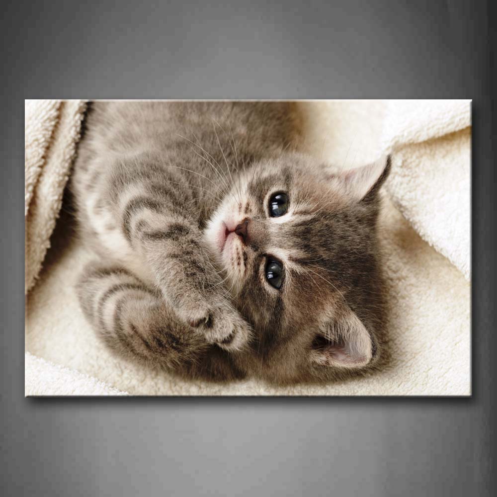 Cat With Black Eye Lying Down Cloth Wall Art Painting The Picture Print On Canvas Animal Pictures For Home Decor Decoration Gift 