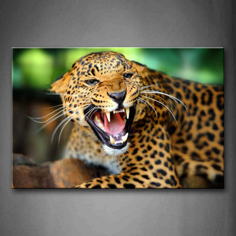 Jaguar Bend Over Close -Up Wall Art Painting The Picture Print On Canvas Animal Pictures For Home Decor Decoration Gift 