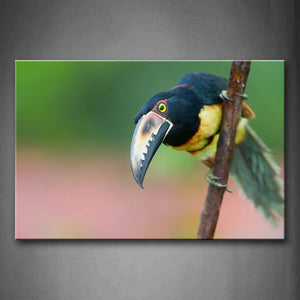 Toucan Stand On A Branch Wall Art Painting Pictures Print On Canvas Animal The Picture For Home Modern Decoration 