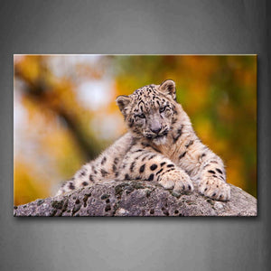 Snow Leopard Bend Over A Big Stone Wall Art Painting The Picture Print On Canvas Animal Pictures For Home Decor Decoration Gift 