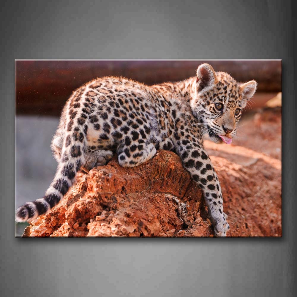 Baby Jaguar Bend Over On Rock Wall Art Painting The Picture Print On Canvas Animal Pictures For Home Decor Decoration Gift 