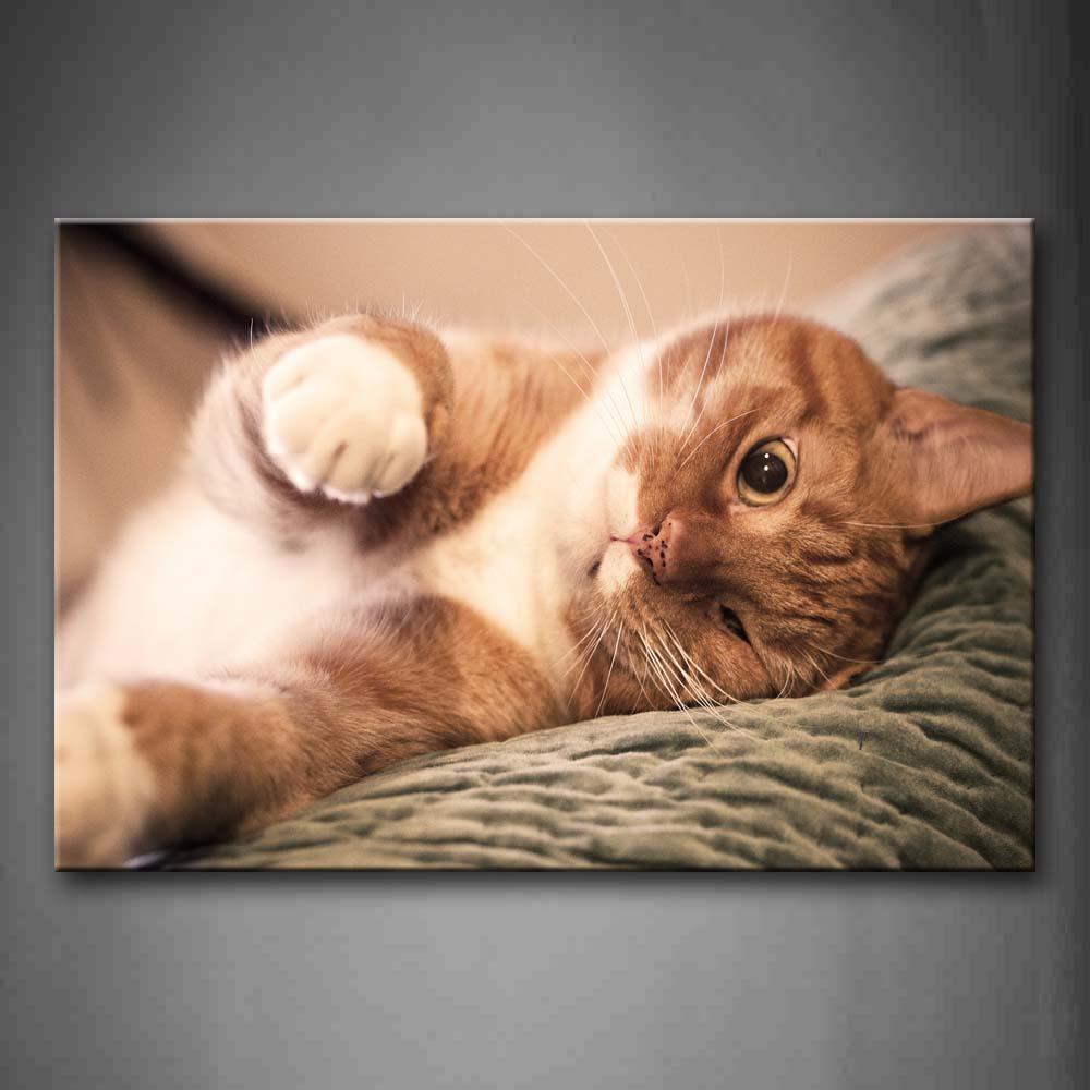 Cat Lie On Blanket Wall Art Painting Pictures Print On Canvas Animal The Picture For Home Modern Decoration 