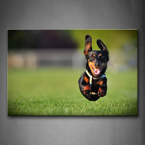 Dachshund Is Jumping Over Green Land Wall Art Painting The Picture Print On Canvas Animal Pictures For Home Decor Decoration Gift 