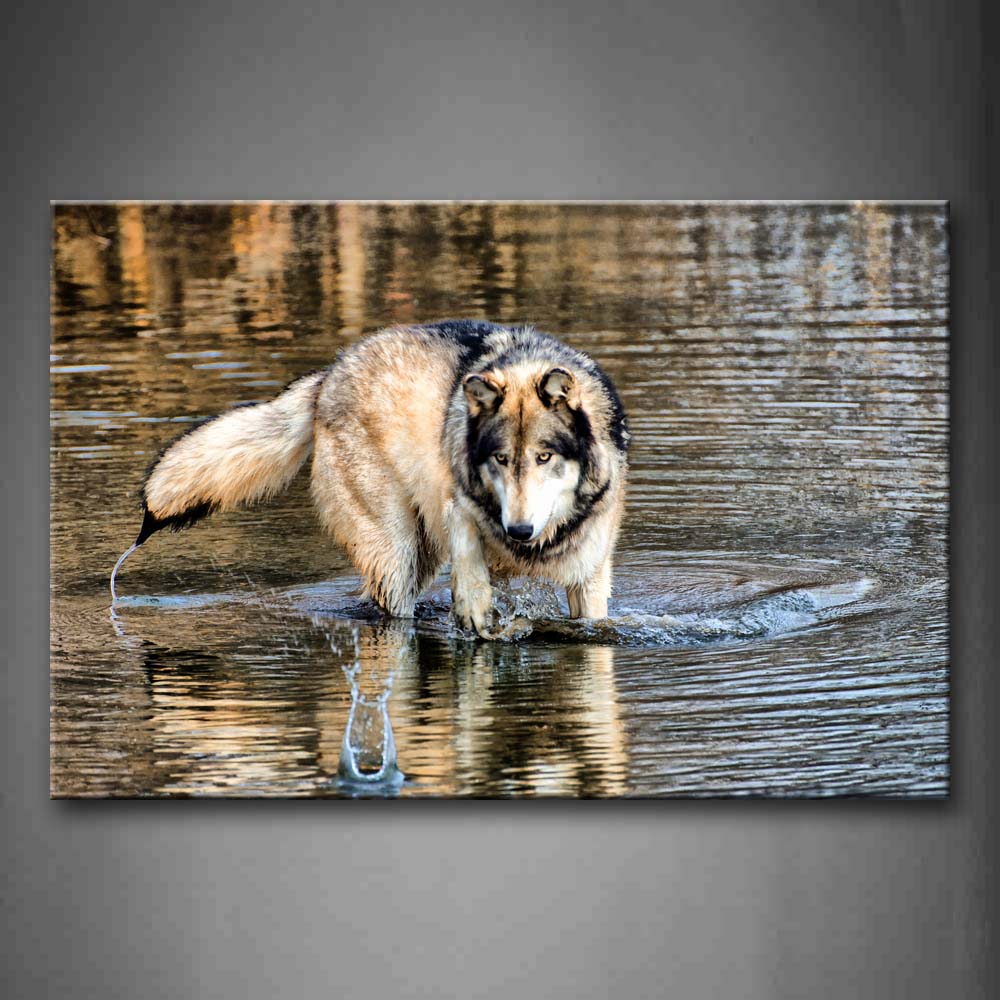 Wolf Walking In Water Foraging Wall Art Painting Pictures Print On Canvas Animal The Picture For Home Modern Decoration 