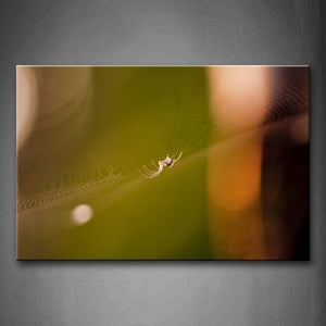 Spider And Spider Web  Wall Art Painting The Picture Print On Canvas Animal Pictures For Home Decor Decoration Gift 